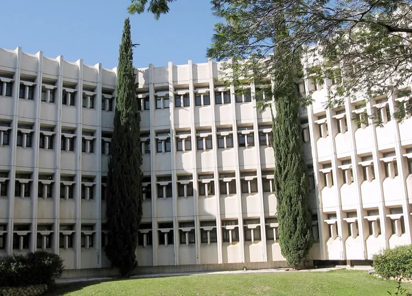 Bar-ilan Universiteit twee cypress 2009 — Stockfoto