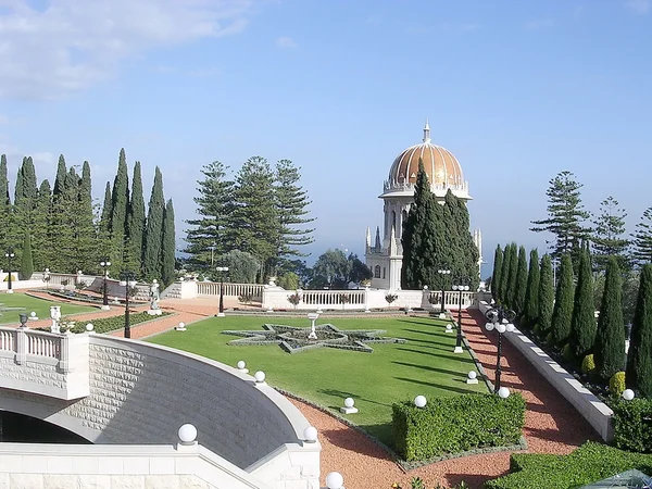 Haifa bahai garden cypress 2003 — Stockfoto