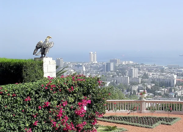 Jardins de Haïfa Bahai Vue sur Bat Galim 2003 — Photo