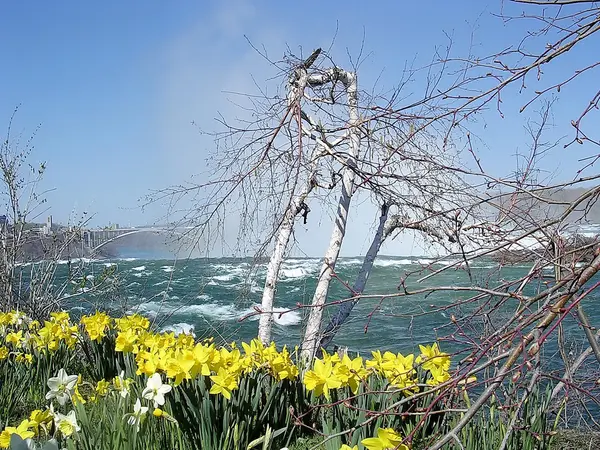 Niagara Regnbågsbron 2003 — Stockfoto