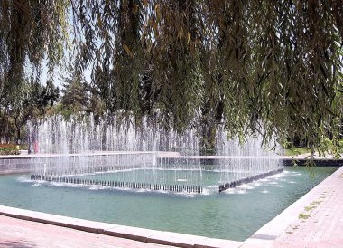 Ağlayan Söğüt 2007 Altında Taşkent Çeşmesi