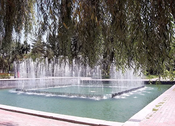 Tashkent Fountain under Weeping Willow 2007 — Stock Photo, Image