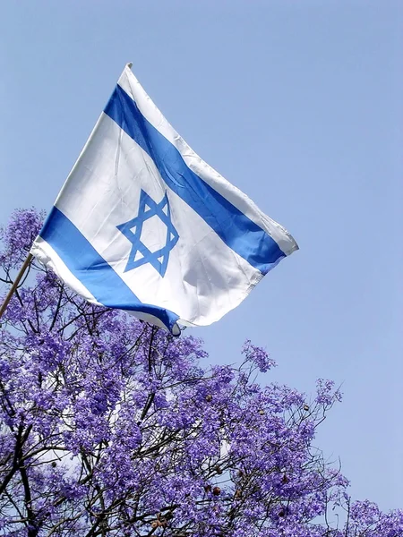 Ramat Gan Park Flag 2005 — Stock Photo, Image