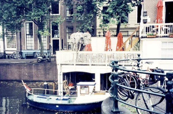 Amsterdam slon socha 2002 — Stock fotografie