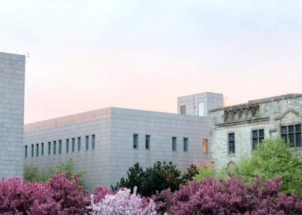 Ottawa lilac blossom at evening 2008 — Stock Photo, Image