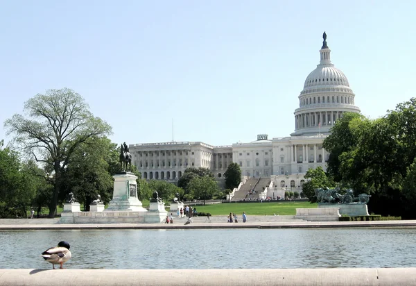 Washington Capitol pond 2007 — Stock Photo, Image