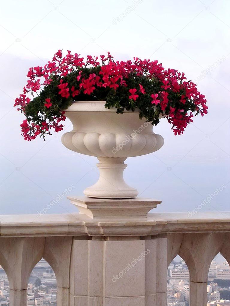 Haifa vase with flowers 2003