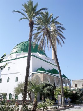 Akko palmiye ağacı ve el-Jazzr Camii 2003