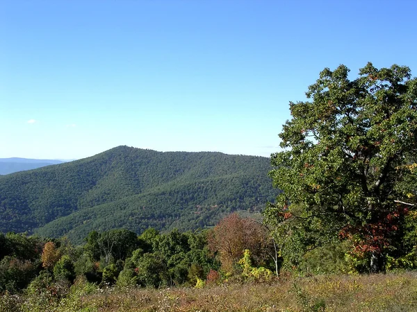 Parque Shenandoah 2004 — Foto de Stock