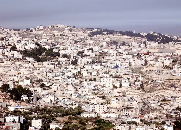 Иерусалим аль-Шах 2010 — стоковое фото
