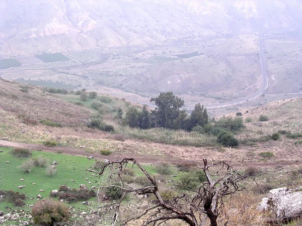 Ramat Hholan 风景2006年 — 图库照片
