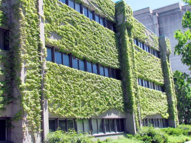 Toronto York Üniversitesi Farquharson Yaşam Bilimleri Binası 2