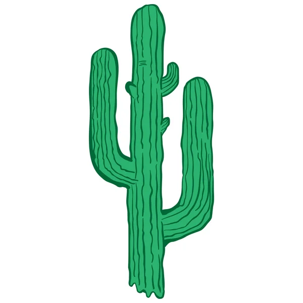 Illustrazione del fumetto del cactus isolata su bianco — Vettoriale Stock