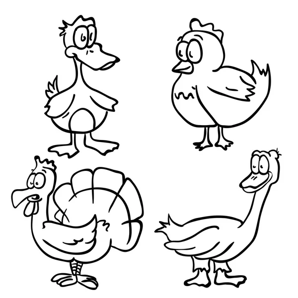 Uccelli domsetic fumetto in bianco e nero doodle — Vettoriale Stock