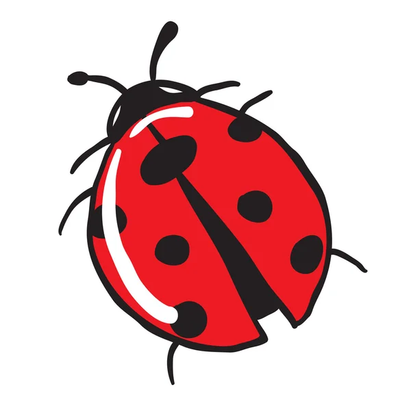 Illustration de dessin animé coccinelle isolé sur blanc — Image vectorielle