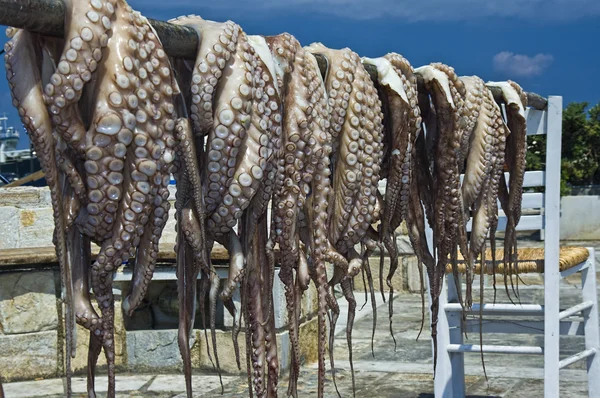 Krake auf Naxos-Insel gefischt — Stockfoto