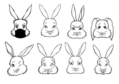 Farklı duyguları olan sekiz tavşan.