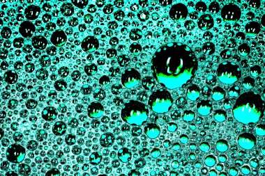 giysiler güve portre