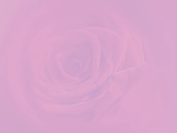 Briefpapier met Rose bloem — Stockfoto