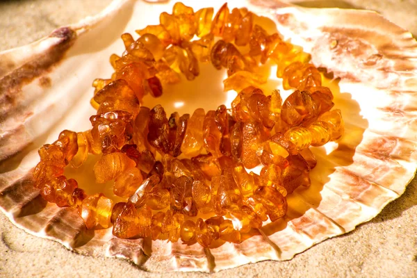 Amber necklace  in a shell — Stock Photo, Image