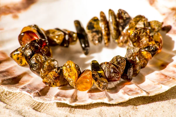 Amber bracelet in a shell — Stock Photo, Image