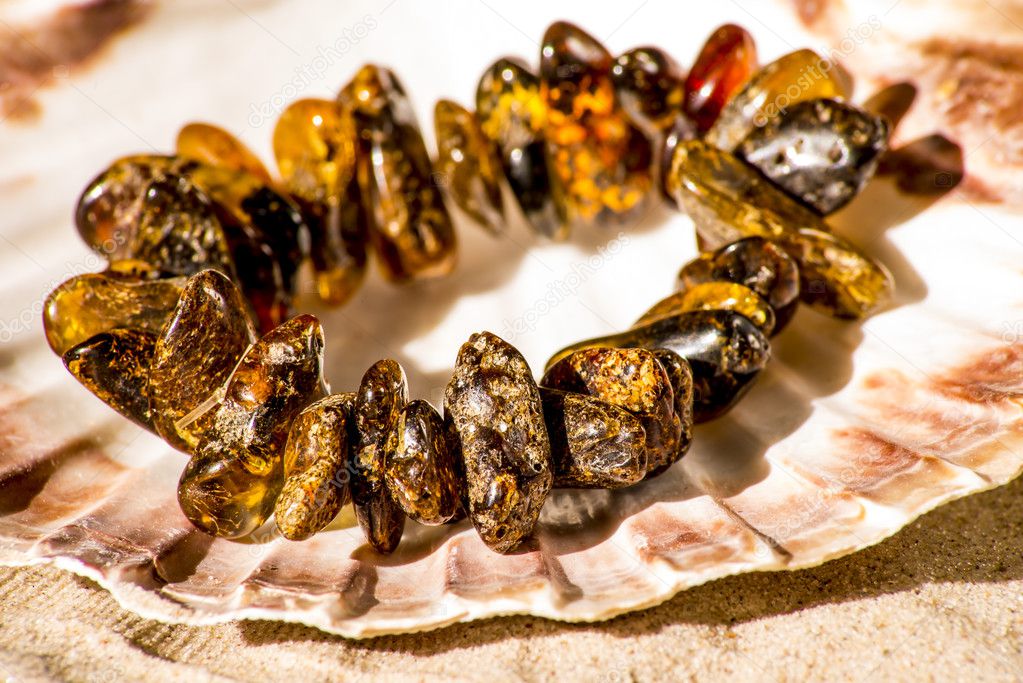 amber bracelet in a shell