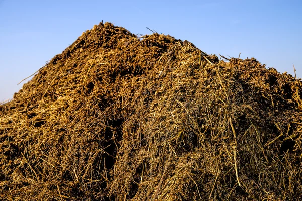 Dung hill con un cielo blu — Foto Stock