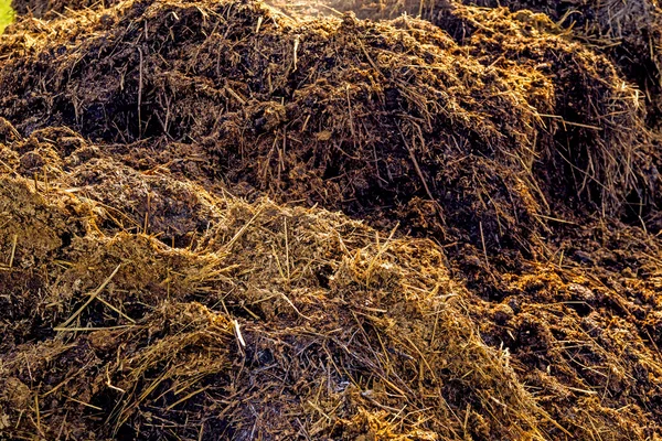 Colina de estiércol en un primer plano —  Fotos de Stock