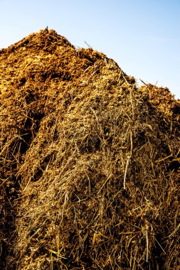 gübre tepenin mavi gökyüzü