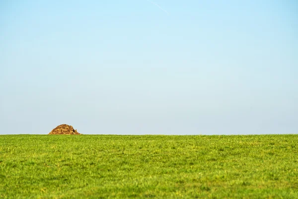 Colina de esterco em um prado verde — Fotografia de Stock