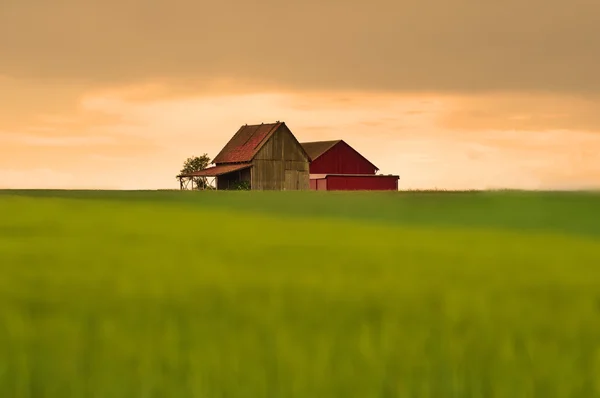 Barn in soft light — Stock Photo, Image