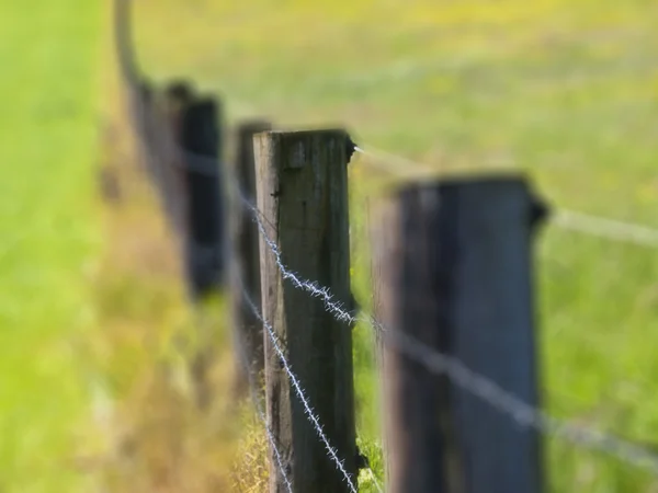 Zaun mit flachem Tiefenfeld — Stockfoto