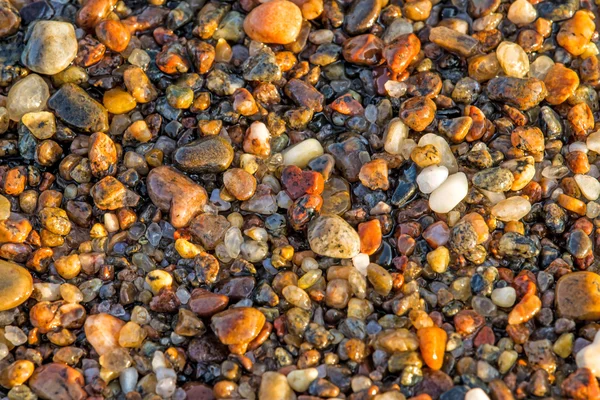 Guijarros en una playa — Foto de Stock