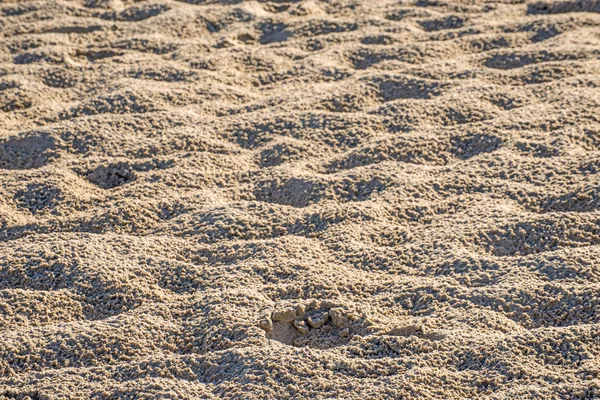 Sand eines Strandes mit Formen — Stockfoto