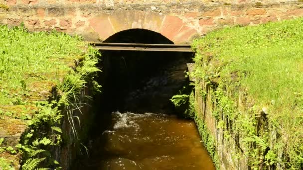 Canal de un antiguo molino de martillos en Alsacia, Francia — Vídeo de stock