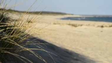 Baltık Denizi tenha plaj 