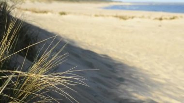 Baltık Denizi tenha plaj 