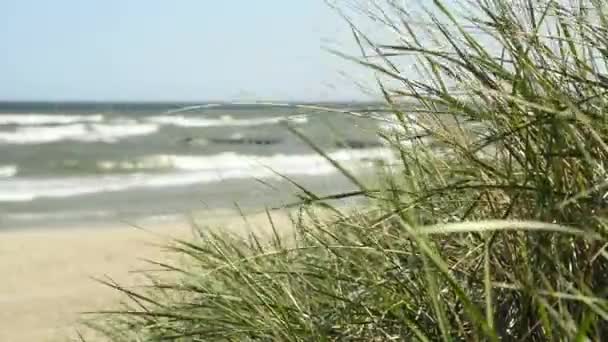 Відокремленому пляжі на узбережжі Балтійського моря — стокове відео