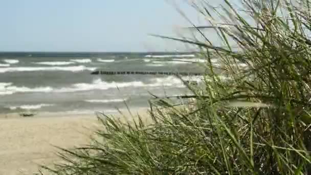 Zacisznej plaży nad Morzem Bałtyckim — Wideo stockowe