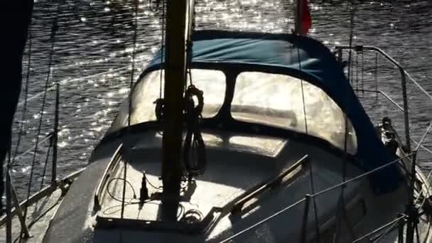 Sailboat in the harbor in backlight — Stock Video