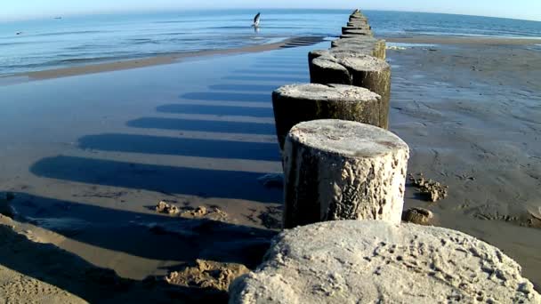 Groins in the Baltic Sea with surf — Stock Video