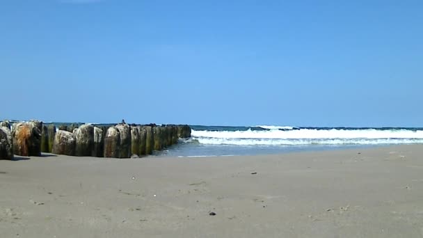 Praia no Mar Báltico na Polônia — Vídeo de Stock