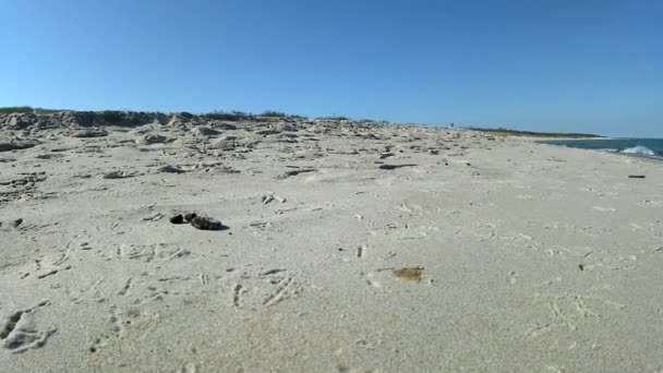 Strand an der Ostsee in Polen — Stockvideo