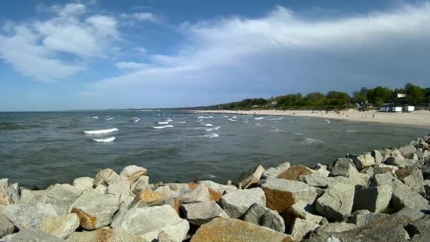 Beach of the Baltic Sea with beach grass — Stock Video