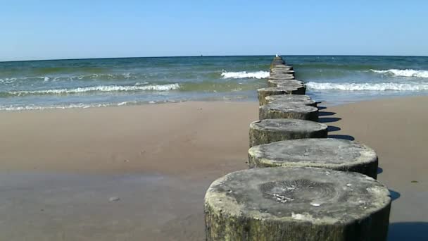 Groins in de Oostzee met surf — Stockvideo