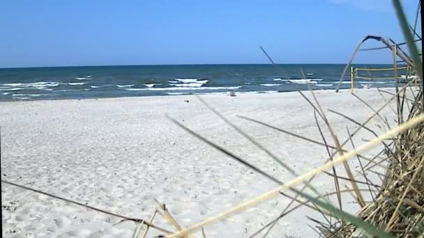 Plage de la mer Baltique avec plage herbe — Video