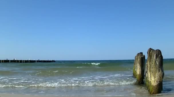 Groins in de Oostzee met surf — Stockvideo