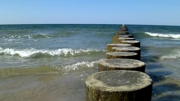 丁坝在波罗的海与冲浪 — 图库视频影像