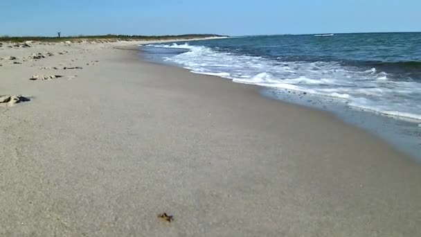 Strand aan de Oostzee in Polen — Stockvideo