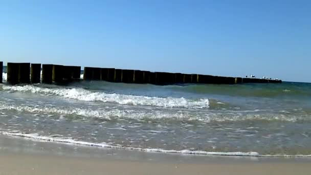 Surf del Mar Báltico en Polonia — Vídeo de stock